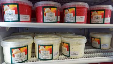 Nos glaces